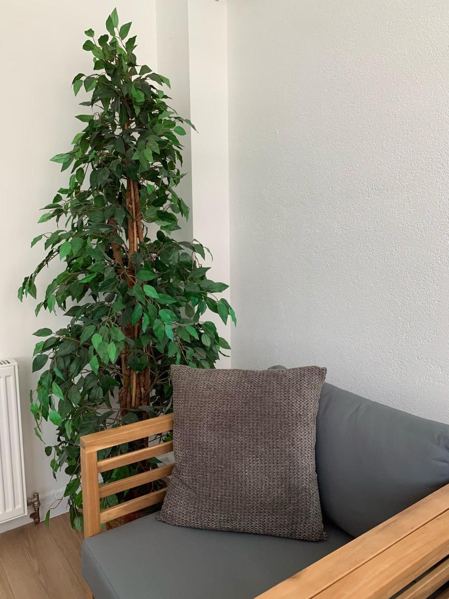 Apartment Prenociste Simic *